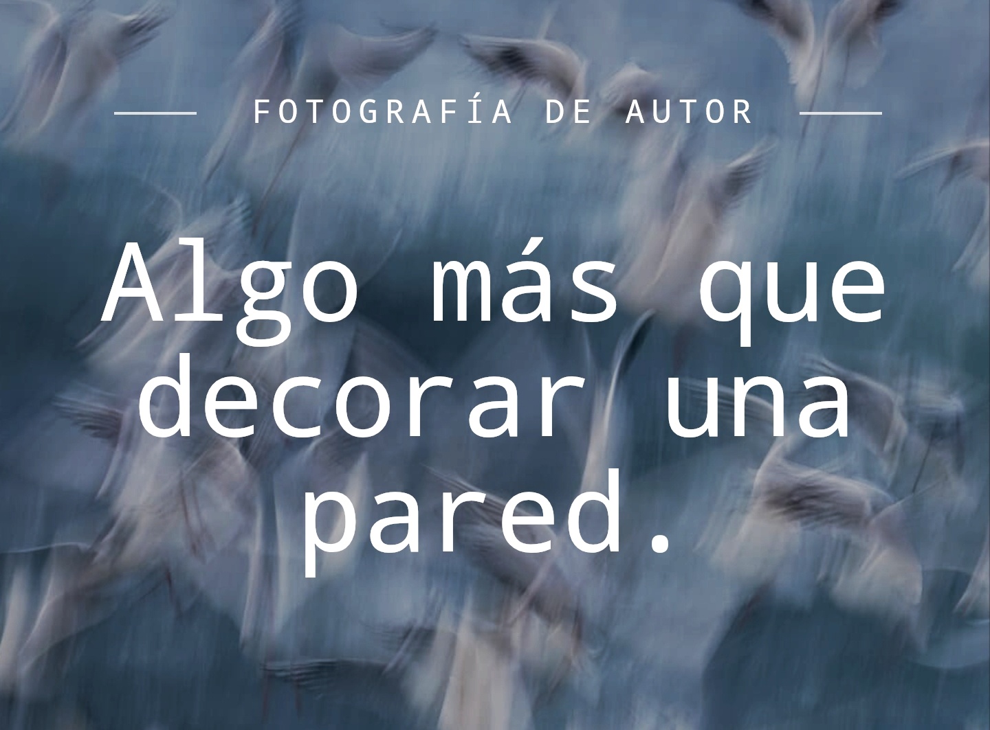 Finis Terrae y el Legado Visual de Marcos Rodríguez.